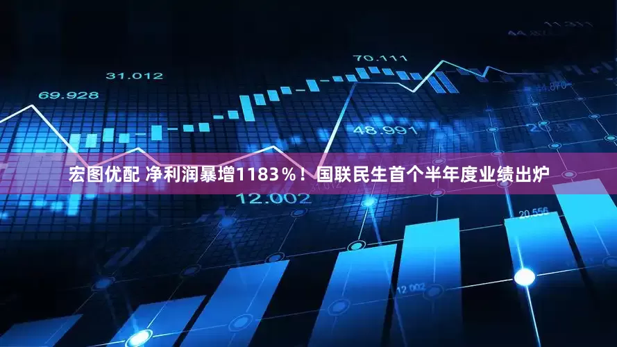 宏图优配 净利润暴增1183％！国联民生首个半年度业绩出炉