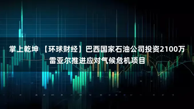 掌上乾坤 【环球财经】巴西国家石油公司投资2100万雷亚尔推进应对气候危机项目