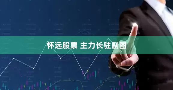 怀远股票 主力长驻副图
